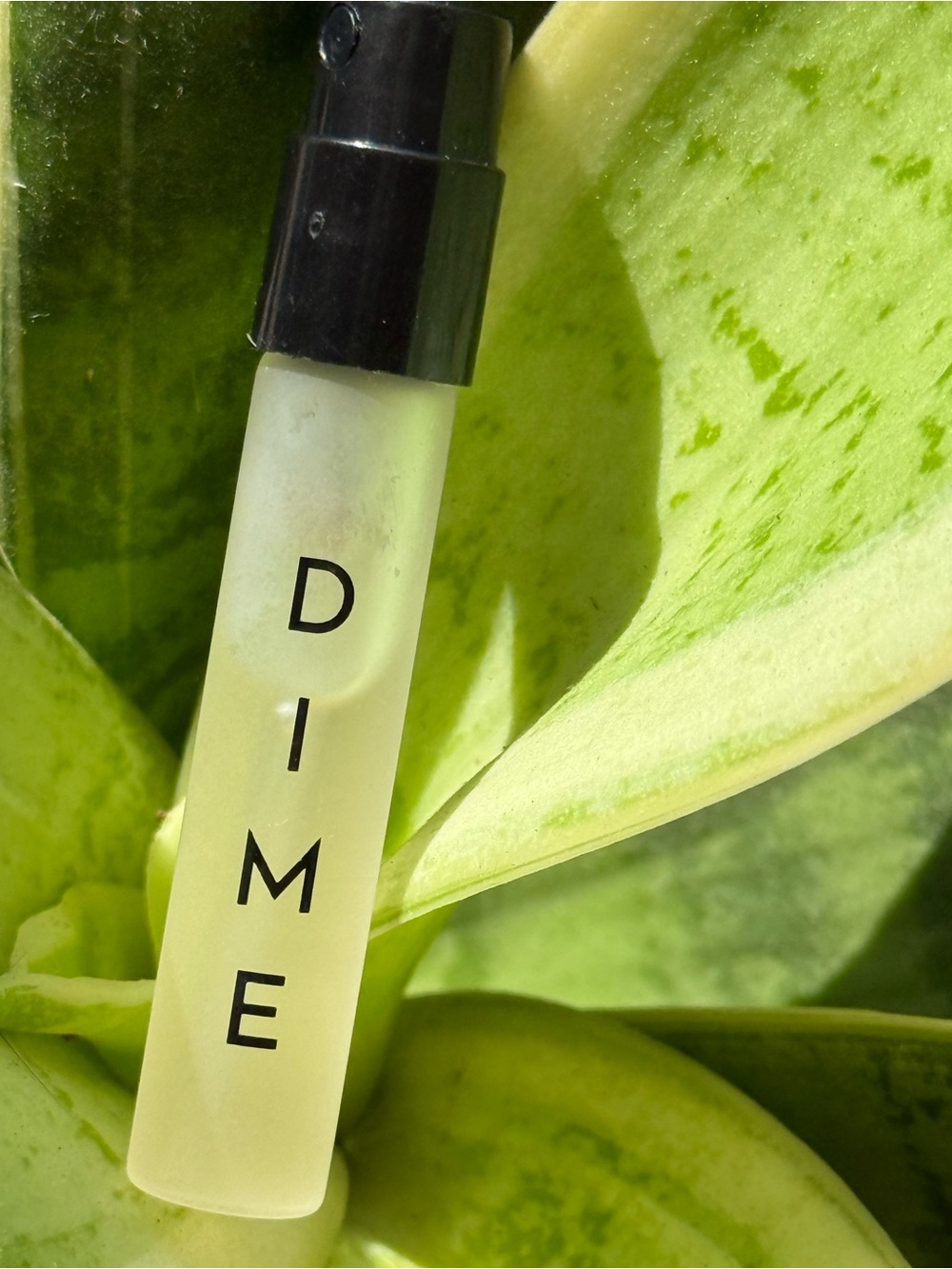 DIME Fragrance 7 Summers